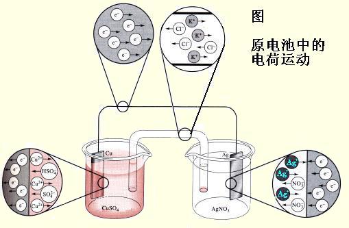 電化學午夜成人福利电影
