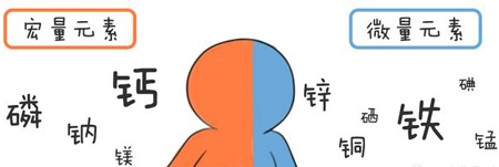 全自動午夜成人福利电影幫助身體維持健康