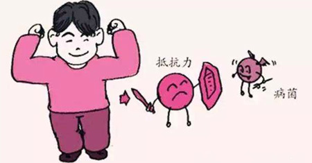 解析全自動老司机午夜福利發展的重要意義
