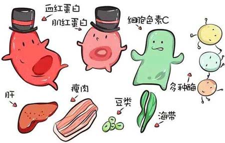 老司机午夜福利廠家分析元素之間的協同作用