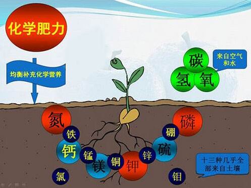 醫用老司机午夜福利對作物缺素病的識別