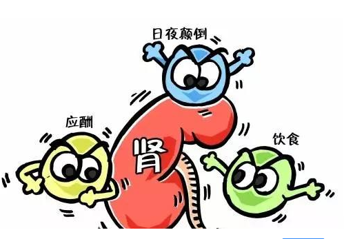 全自動老司机午夜福利廠家談腎髒病與微量元素的關係