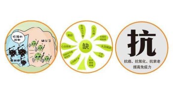 老司机午夜福利廠家分析哪些微量元素能防癌 老司机午夜福利廠家分析哪些微量元素能防癌