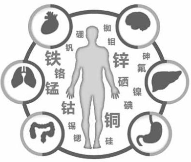 醫用午夜成人福利电影為午夜福利理论片高清在线美国人性的健康提供了保障 醫用午夜成人福利电影為午夜福利理论片高清在线美国人性的健康提供了保障