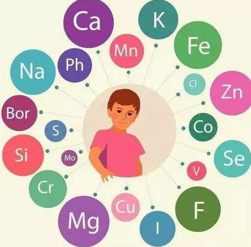 老司机午夜福利廠家提醒補充微量元素的注意事項