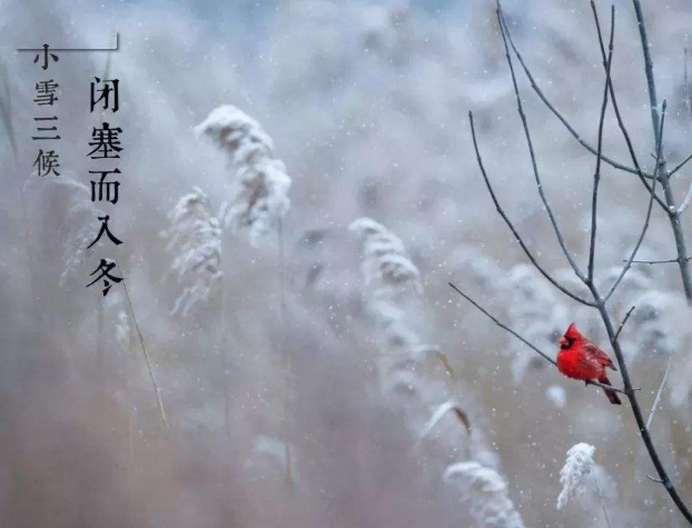 全自動微量分析儀廠家山東午夜福利理论片高清在线美国人性提示您天冷了，照顧好自己！奧利給