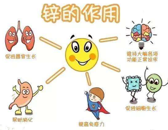 【全自動午夜成人福利电影】廠家午夜福利理论片高清在线美国人性分析哪些兒童容易發生體內鋅缺乏？