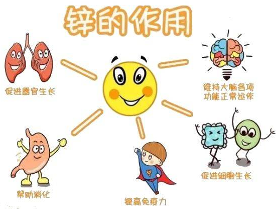 午夜成人福利电影廠家提示變身威猛先生？該怎樣正確看待鋅的攝入