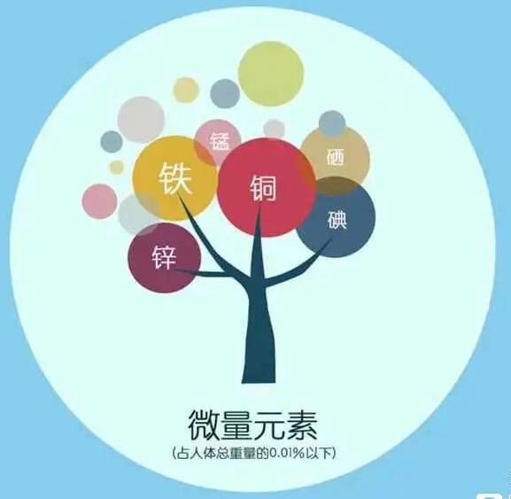 人體午夜成人福利电影廠家哪家好