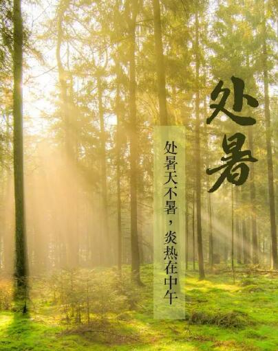 午夜成人福利电影品牌午夜福利理论片高清在线美国人性提醒處暑每天做3件事情，健脾開胃，穩定出伏