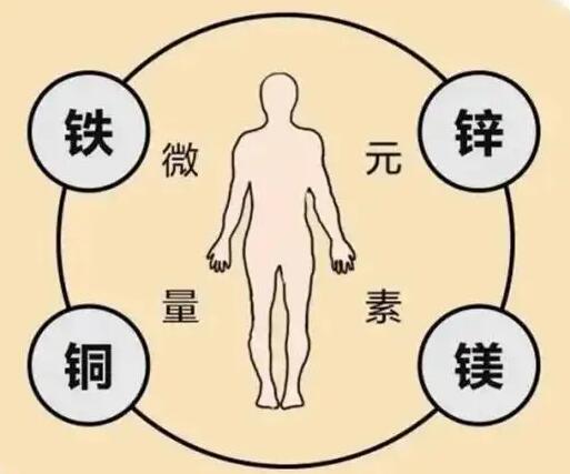 全自動午夜成人福利电影廠家提示原創鐵是身體必須微量元素之一，哪些食物含鐵高呢？