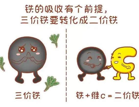 醫用午夜成人福利电影廠家提醒大家鐵元素的重要性