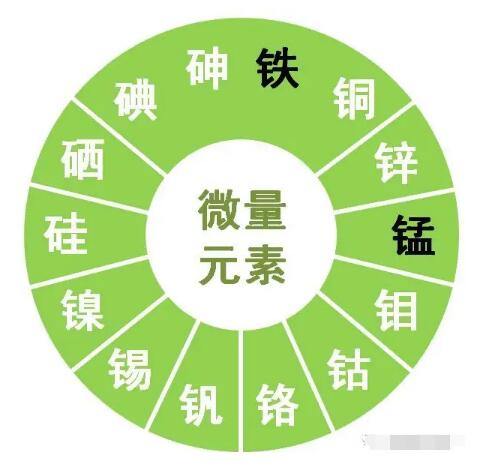 午夜成人福利电影提示鋅、硒、錳、釩等微量元素對男性生育有哪些作用？